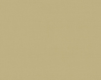 [200111122_59] Taralay Impression Compact - 1065 Finesse Paille